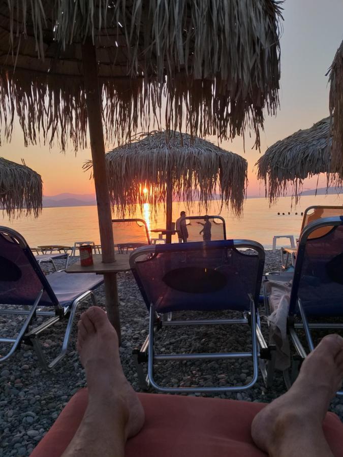 אפרטהוטל פפקי Panorama מראה חיצוני תמונה