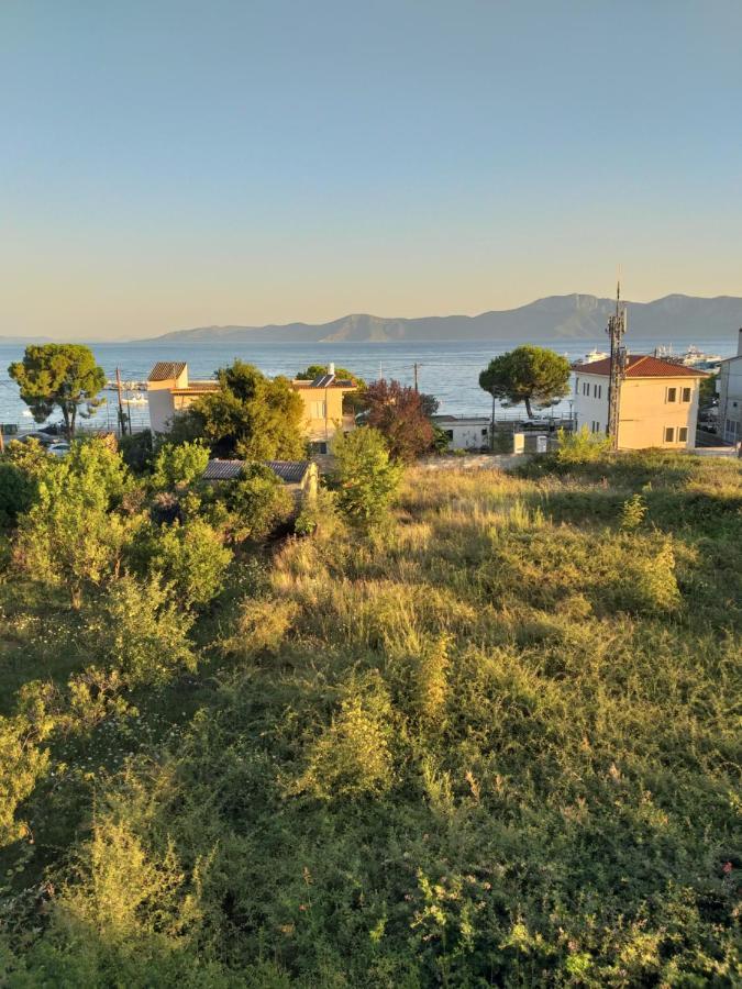 אפרטהוטל פפקי Panorama מראה חיצוני תמונה